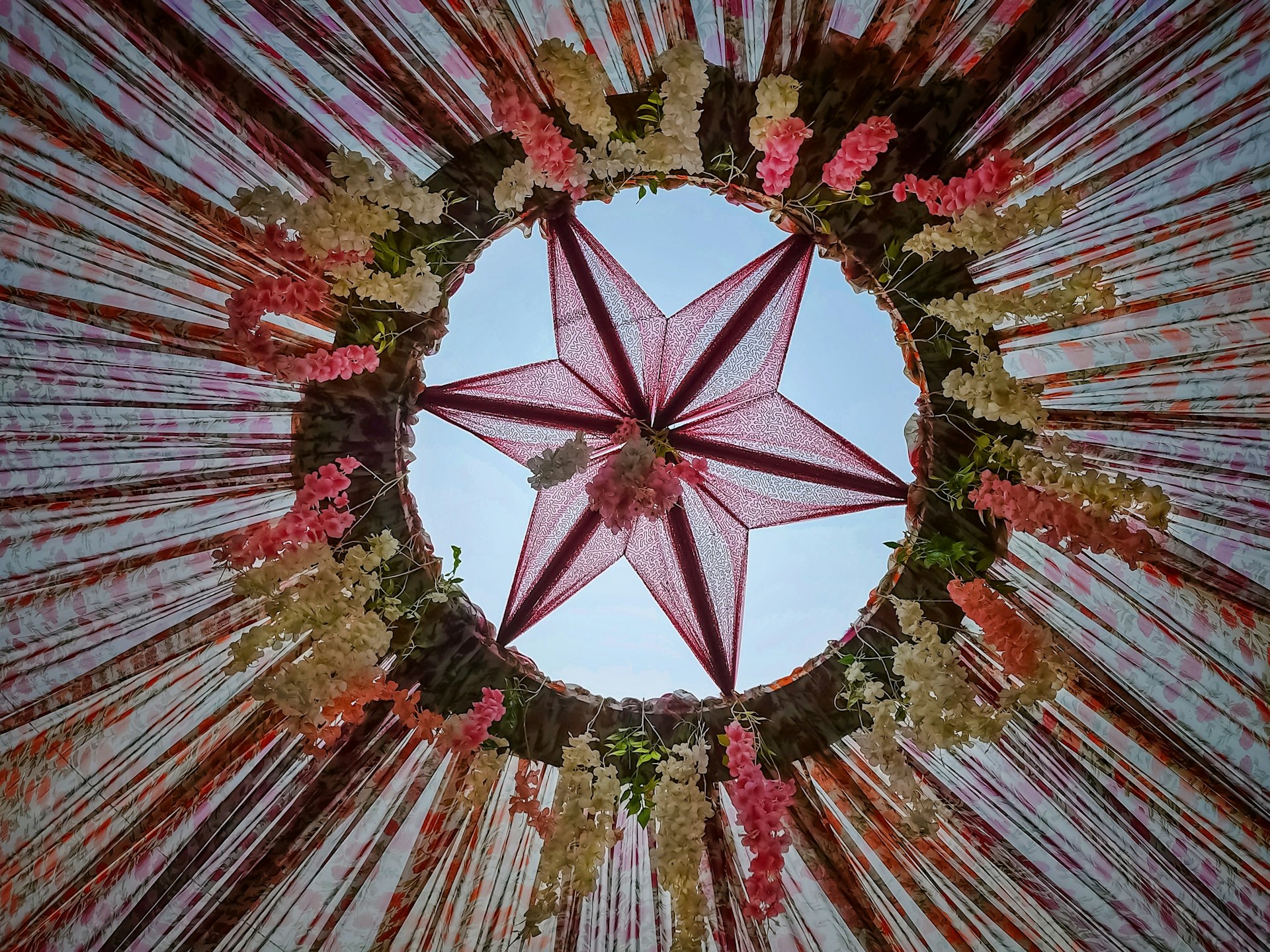 a view of a star in the middle of a flower arrangement